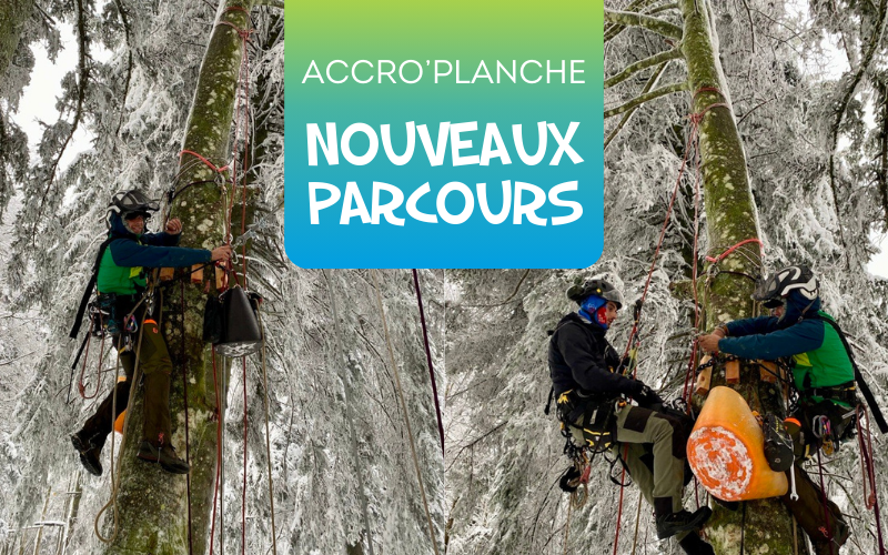 Lire la suite à propos de l’article Nouveautés pour l&rsquo;Accro&rsquo;Planche